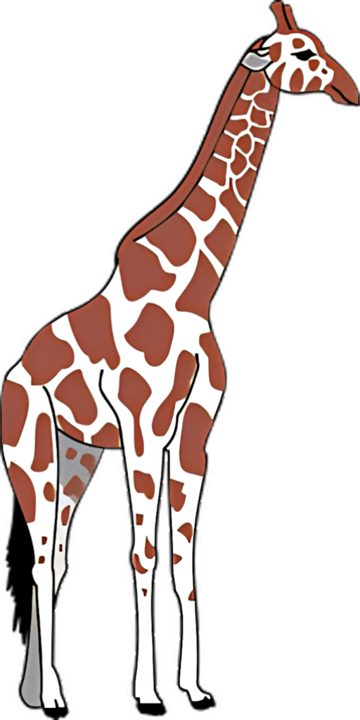 Charming Giraffe Illustration on Transparent PNG Background Wallpaper