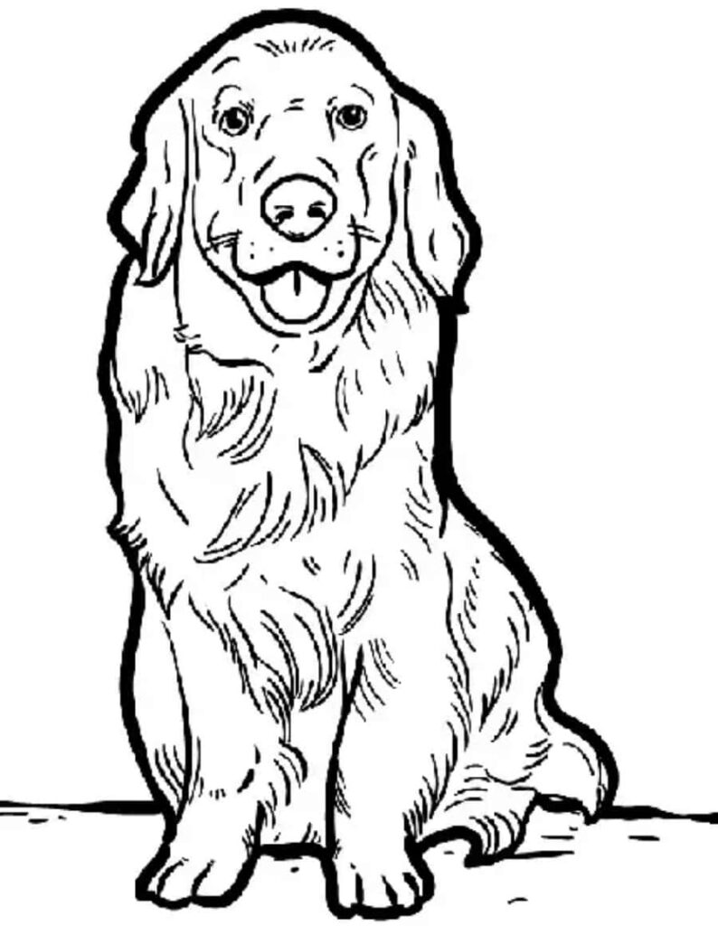 Charming Golden Retriever Coloring Page for Fun Wallpaper Background