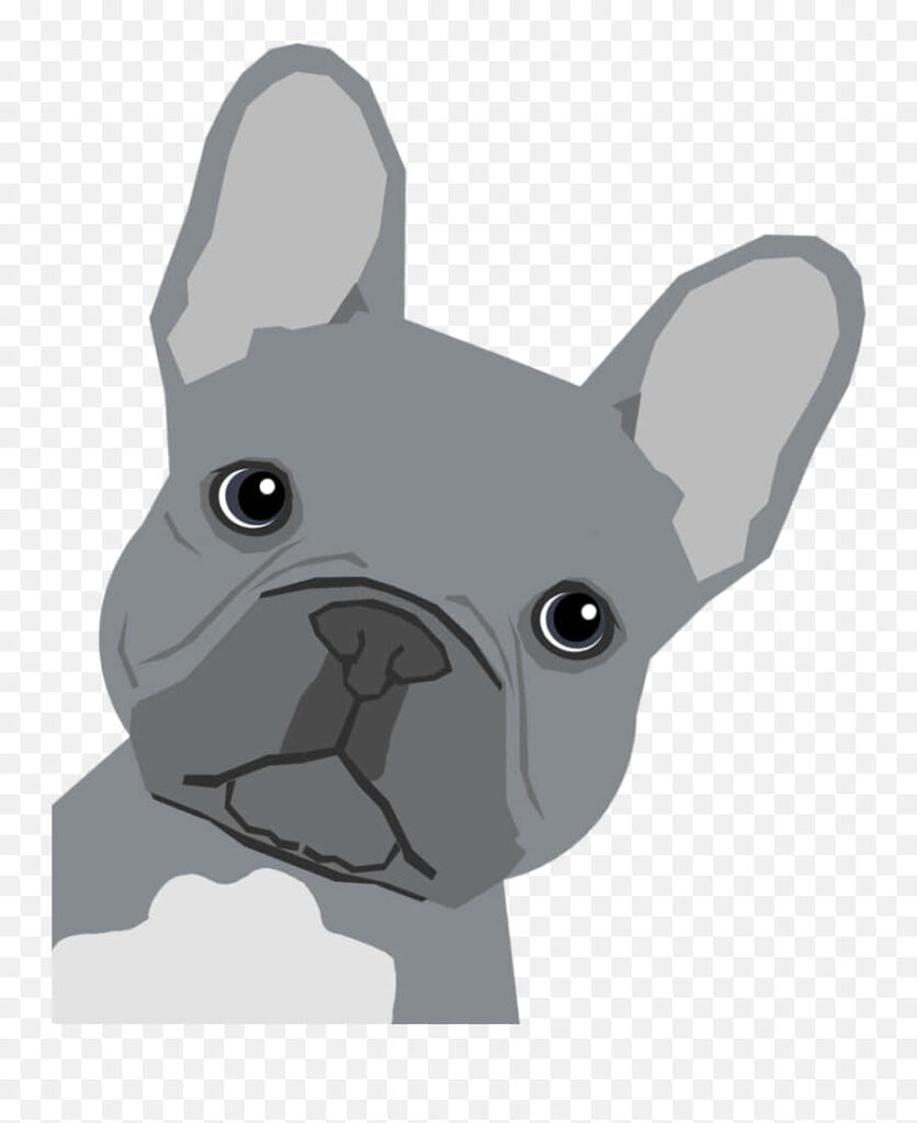 Charming Gray French Bulldog Wallpaper - Minimalist Design