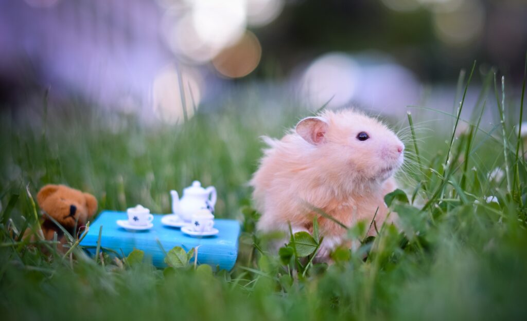 Whimsical Hamster Tea Party Wallpaper with Toy Bear & Tableware