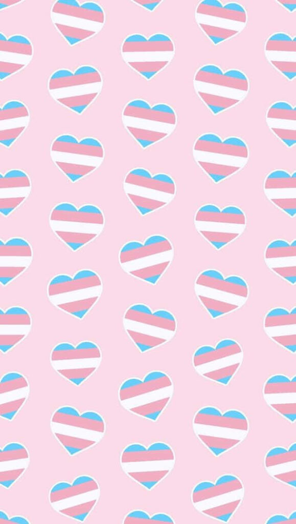 Charming Transgender Pride Heart Wallpaper on Soft Pink Background