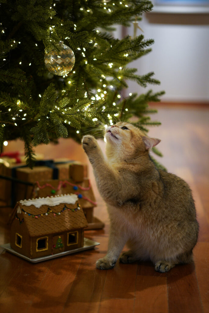 Charming Cat & Christmas Tree: Festive Holiday Scene Delight Wallpaper