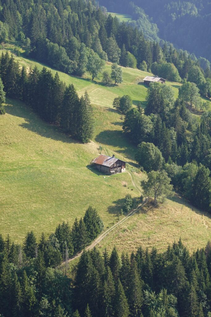 Charming house on green slope surrounded by dense forest and winding trail in peaceful landscape Wallpaper