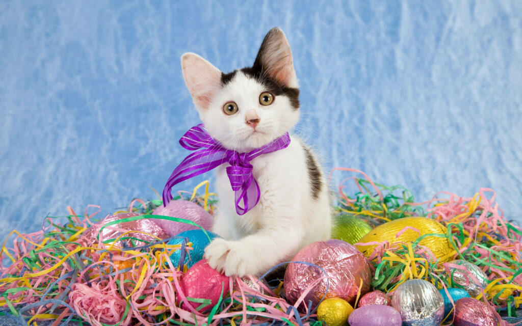 Adorable Kitten Wallpaper with Yarn & Festive Decor - Cheerful Background