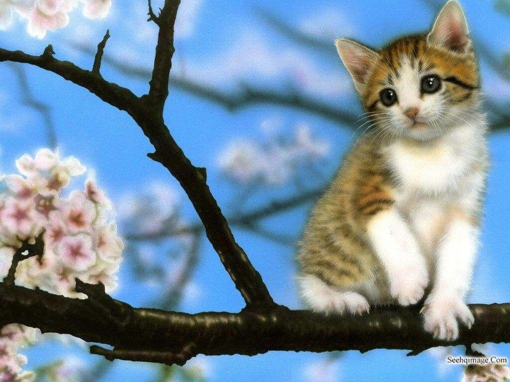 Charming Kitten on Tree Branch - Peaceful Floral Wallpaper Background