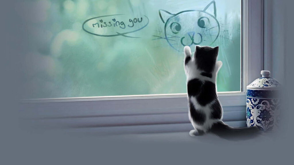 Charming Kitten Wallpaper: 'Missing You' in a Cozy Window Scene