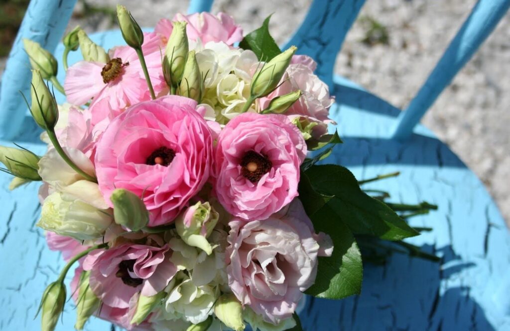 Vibrant Pink and White Lisianthus on Rustic Blue Chair - Charming Background Wallpaper