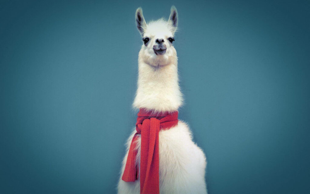 Charming Llama with Red Scarf on Blue Background - Stylish Wallpaper