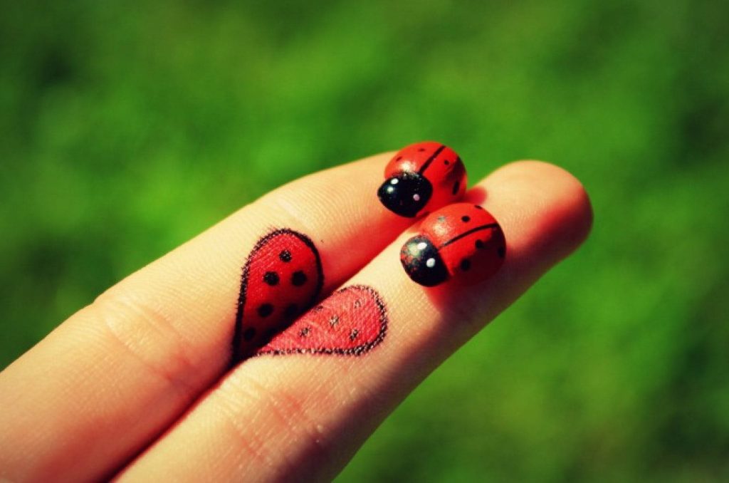 Macro photo of two vibrant ladybugs on a finger with hand-drawn heart on green background wallpaper