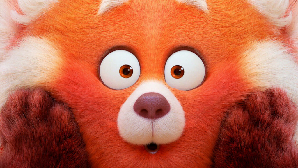 Adorable Mei Lee Red Panda Wallpaper: Close-Up with Expressive Face