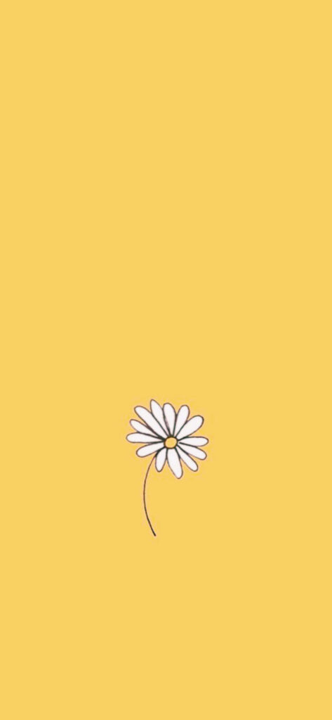 Charming Minimalist Daisy Wallpaper for a Bright iPhone Background