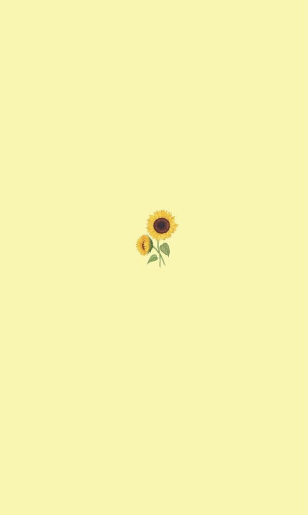 Charming Minimalist Sunflower Wallpaper on Soft Yellow Background