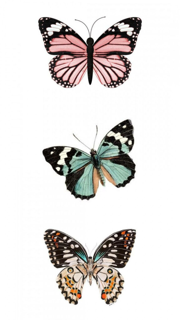 Charming Pastel Butterfly Wallpaper - Aesthetic Background Design