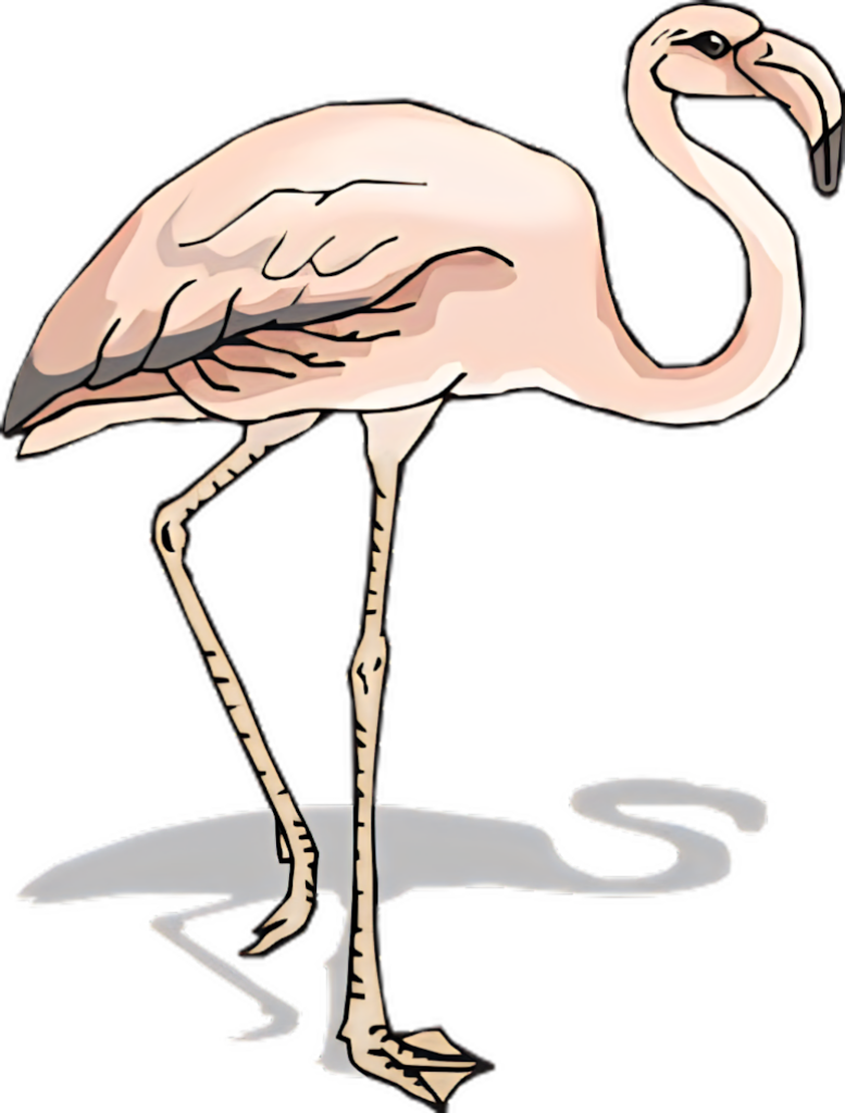 Charming Cartoon Pink Flamingo Wallpaper in Pastel Hues