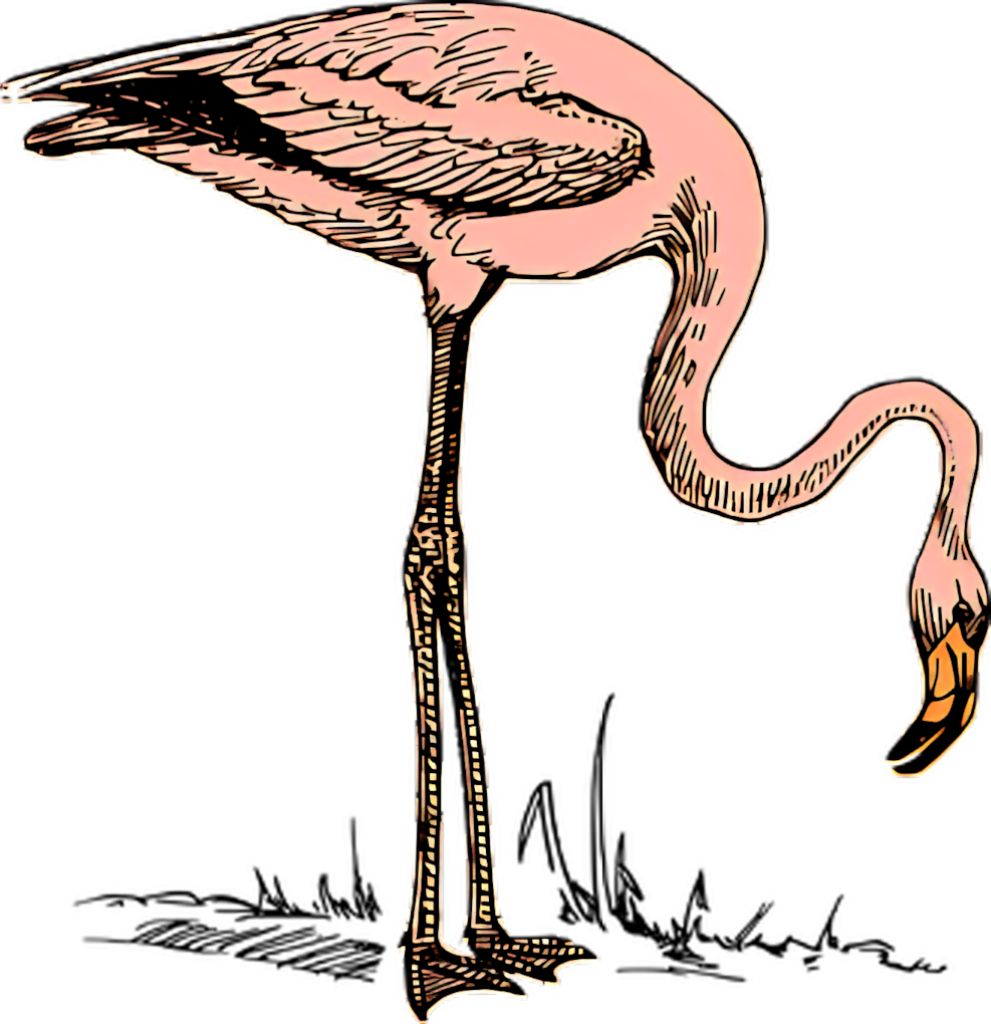 Elegant Pink Flamingo Wallpaper: Serene Illustrative Background