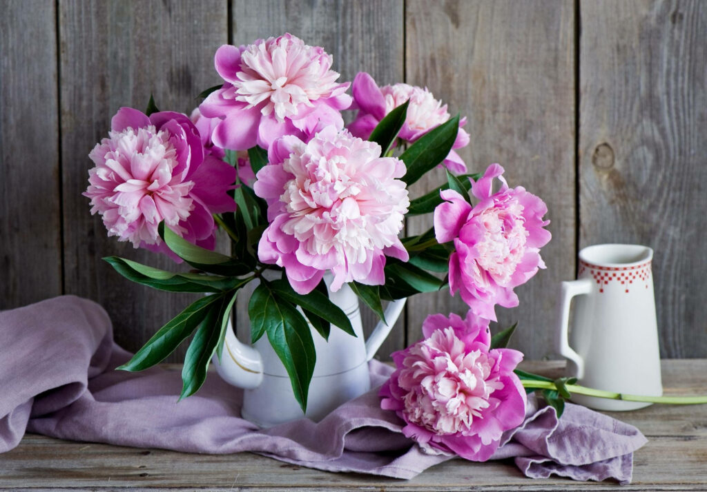 Charming Pink Peony Wallpaper on Rustic Wood Background