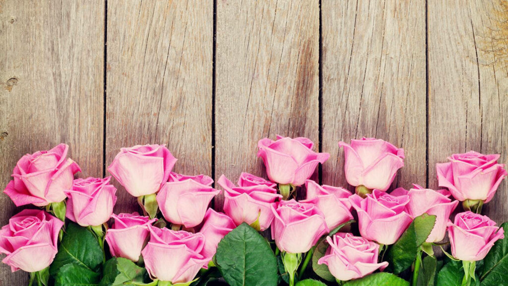 Charming Pink Roses on Rustic Wood: Elegant Laptop Wallpaper