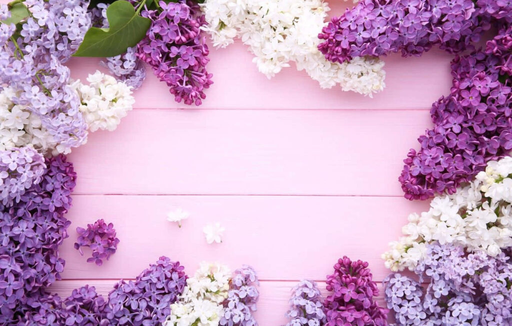 Charming Pink Wooden Plank Wallpaper with Lilacs - Fresh Spring Decor