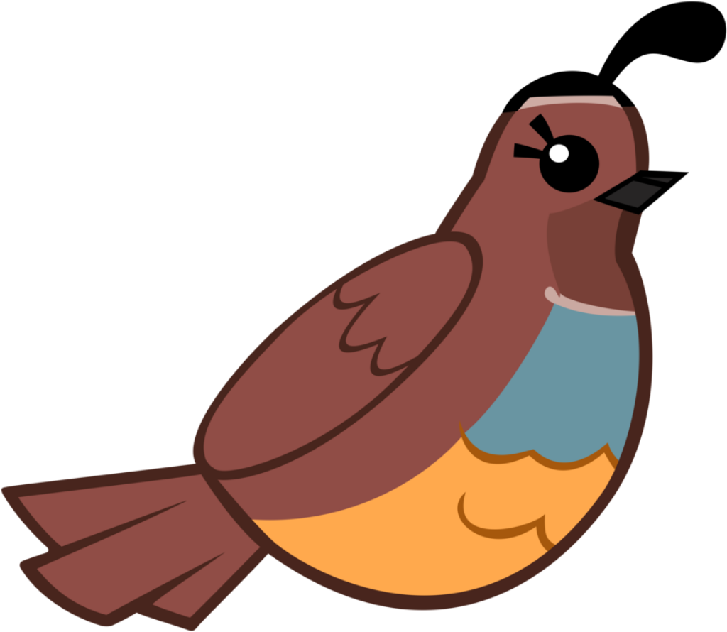 Vibrant Quail Cartoon Wallpaper - Playful Bird Design for Screens