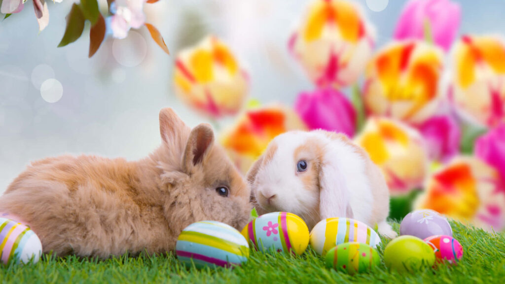 Adorable Rabbits and Colorful Eggs in Springtime Field Wallpaper