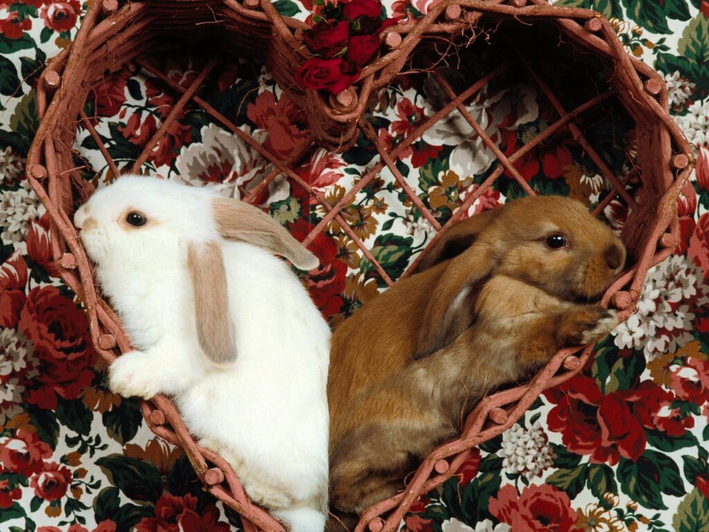 Charming Rabbits in Heart Frame: Vibrant Floral Background Wallpaper
