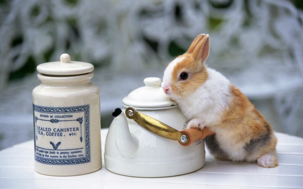 Charming Rabbit Wallpaper with Tea Set - Whimsical and Tranquil Background