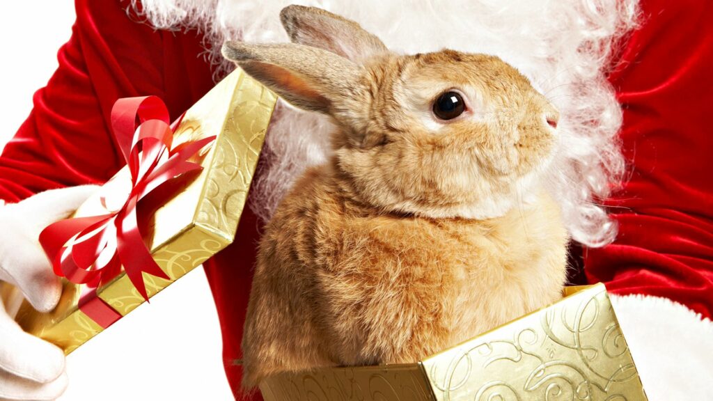 Charming Rabbit in Golden Gift Box - Festive 1920x1080 Wallpaper