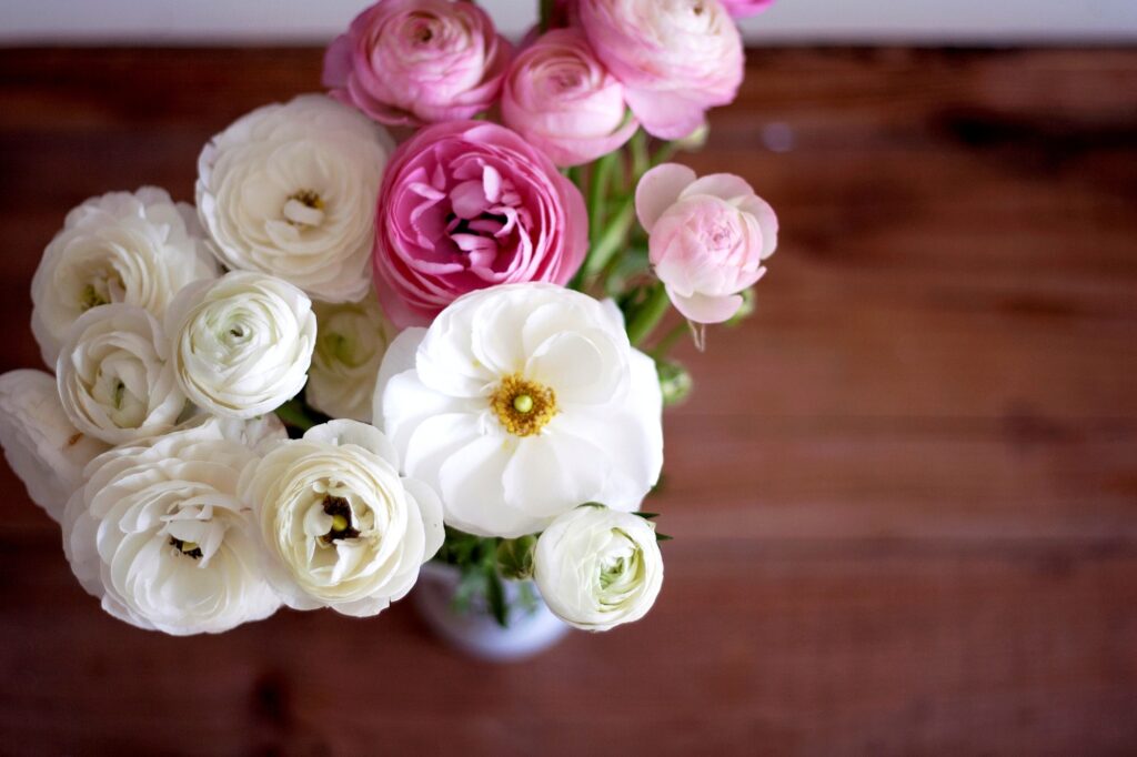 Charming White & Pink Ranunculus Bouquet on Rustic Wooden Background Wallpaper