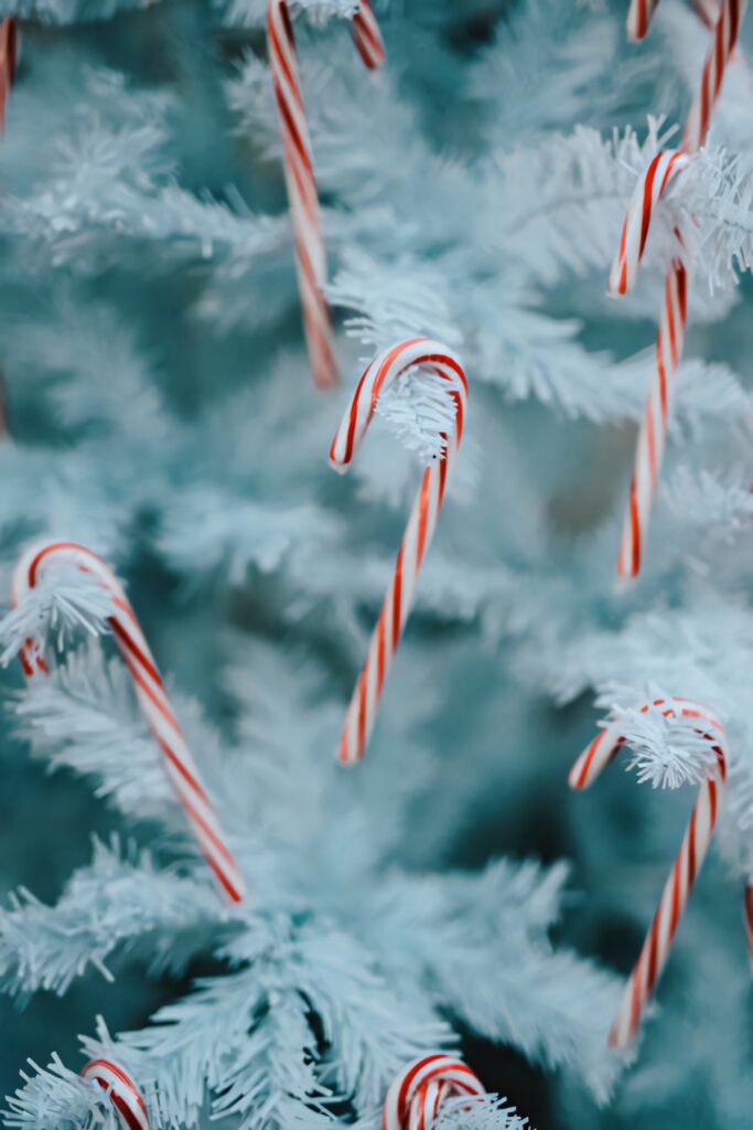 Red and White Candy Canes on a Frosty Christmas Tree Background Wallpaper
