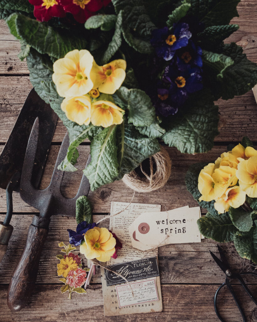 Charming Spring Wallpaper: Vibrant Flowers & Gardening Tools Background