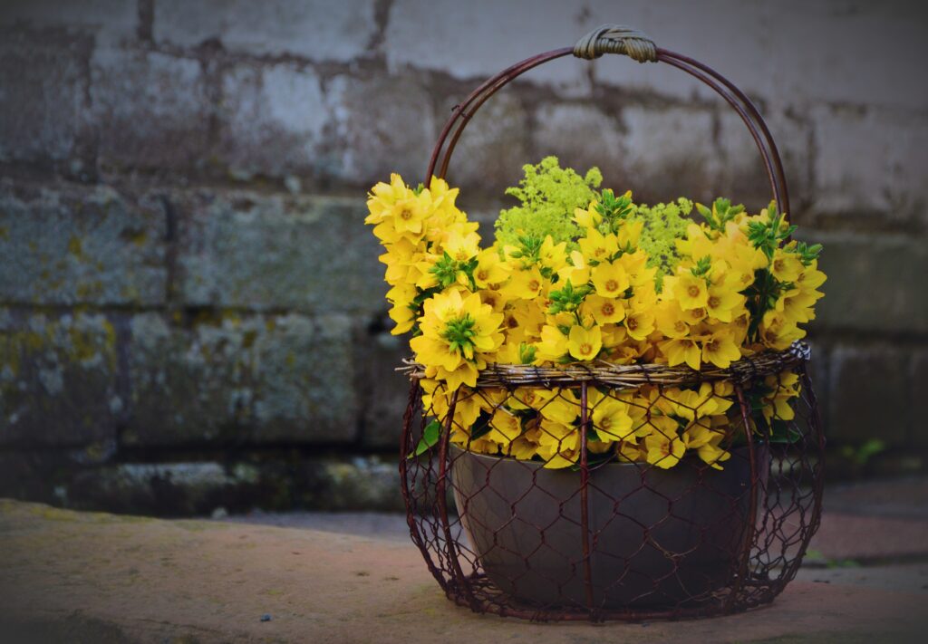 Charming Rustic Basket with Yellow Lysimachia Against Stone Wall Wallpaper