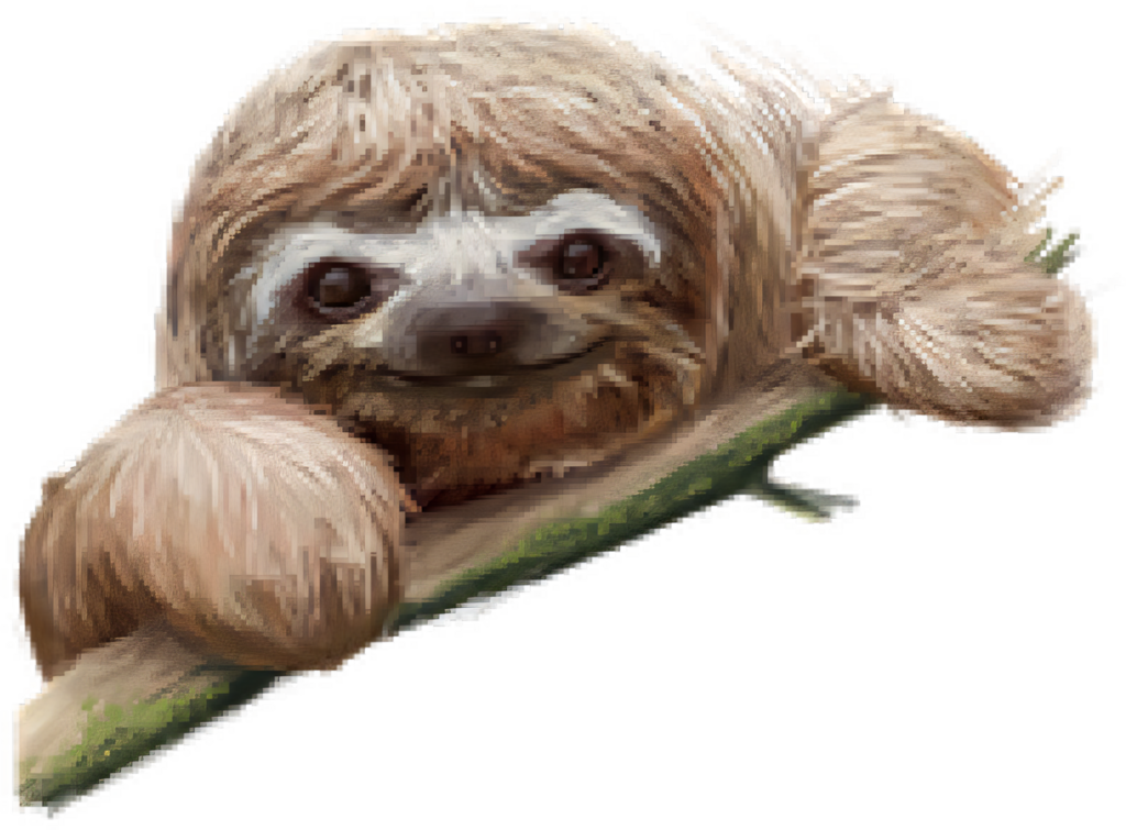 Relaxing Sloth Wallpaper - Tranquil Branch Background Decor