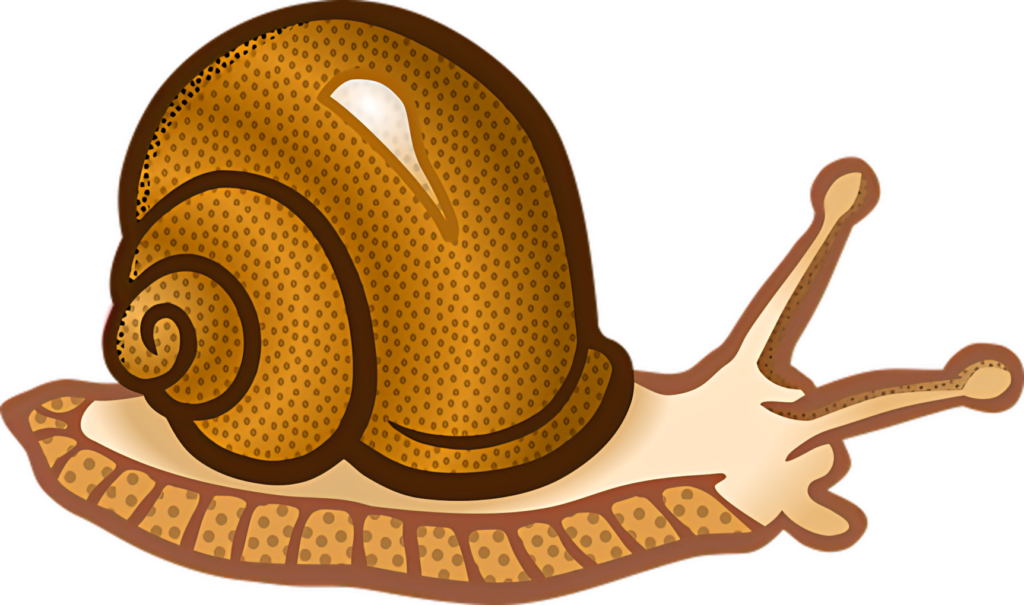 Charming Snail Cartoon Wallpaper for Whimsical Decor & Design