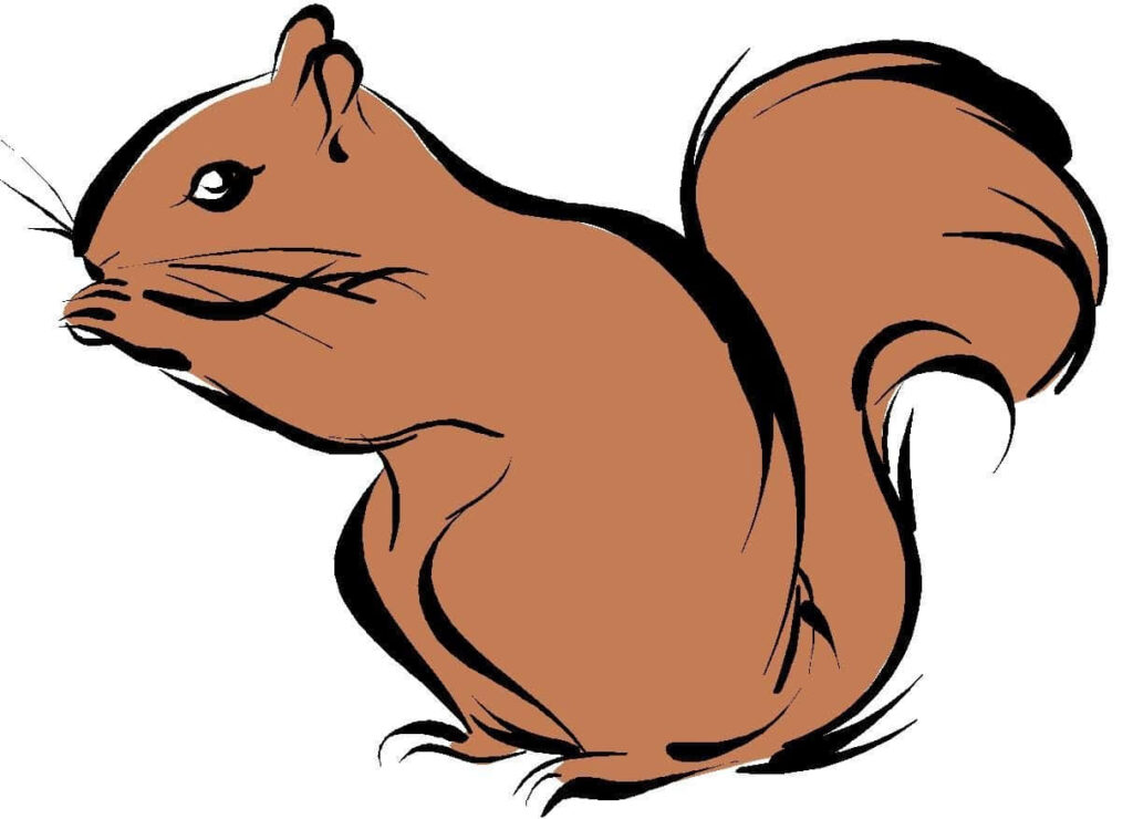 Playful Squirrel Illustration Wallpaper - Whimsical Digital Art