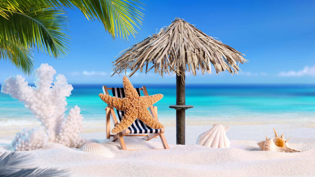 Charming Summer Beach Scene with Starfish, Seashells & Coral Wallpaper