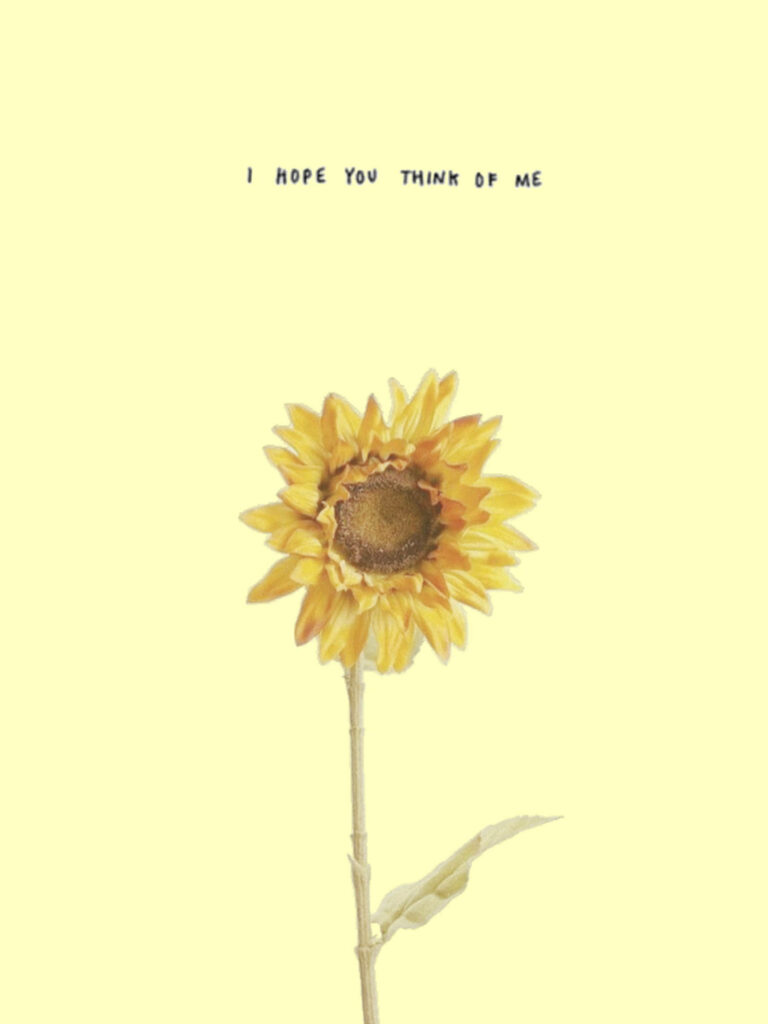 Sentimental Sunflower Wallpaper: Minimalist Aesthetic on Pastel Yellow