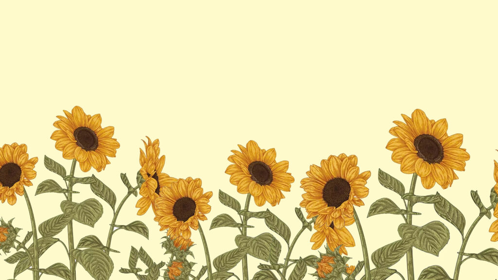 Charming Sunflower Wallpaper with Yellow Petals on Soft Background