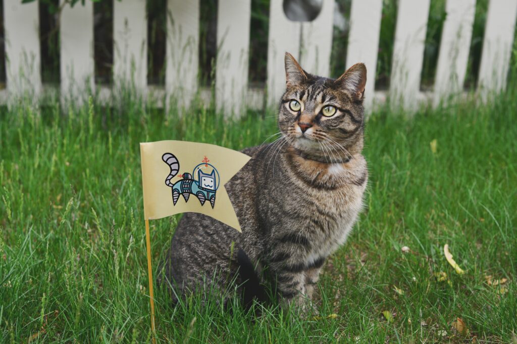 Adorable Tabby Cat on Green Lawn with Whimsical Space Flag Wallpaper