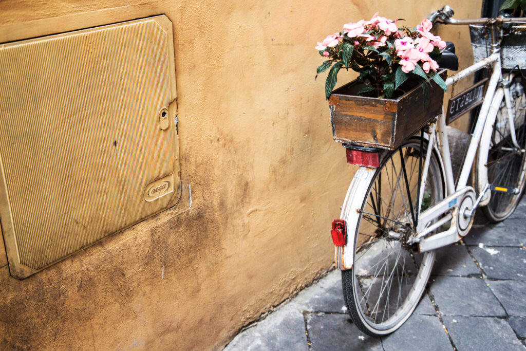 Charming Vintage Bicycle with Flowers Against Rustic Wall Background Wallpaper