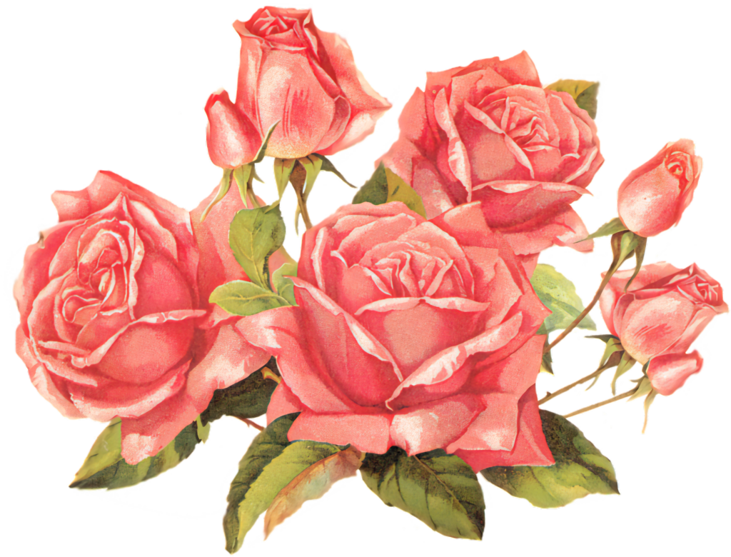 Charming Vintage Pink Roses Wallpaper - Romantic Floral Background