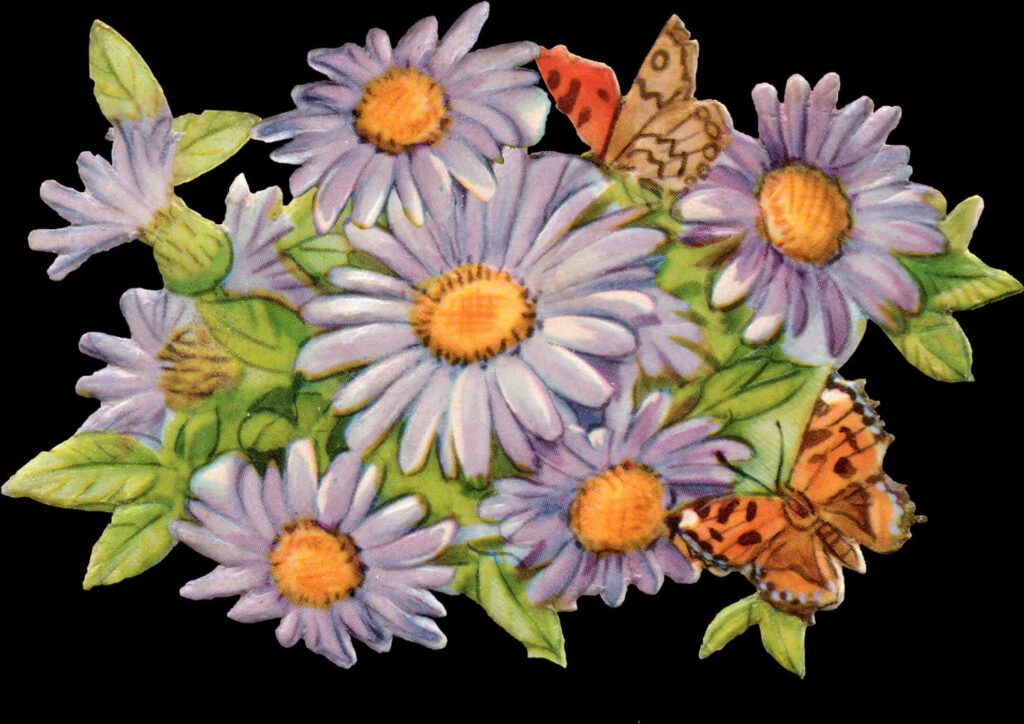 Charming Vintage Wallpaper with Purple Daisies & Colorful Butterflies