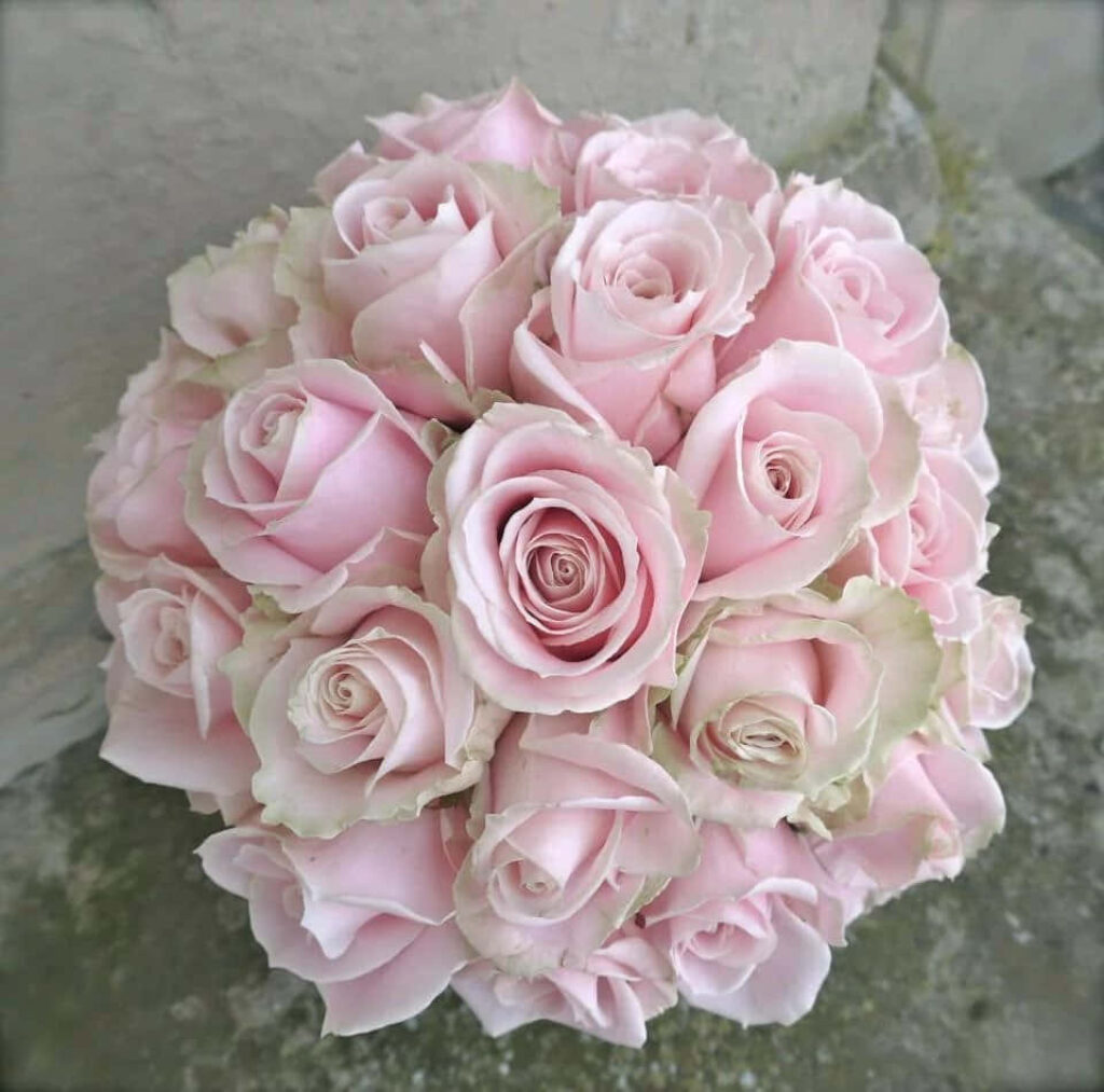 Charming Pink Rose Bouquet on Rustic Stone Wall - Romantic Background Wallpaper