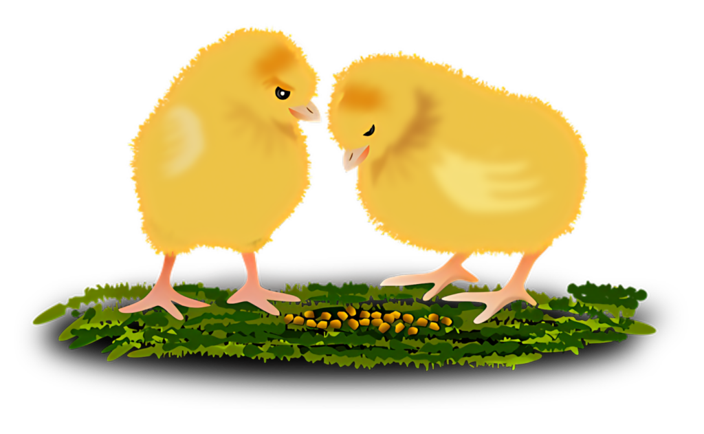 Charming Fluffy Chicks on Vibrant Green Grass Wallpaper