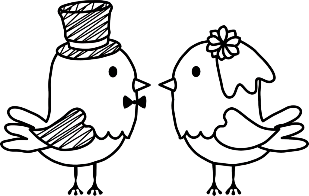 Whimsical Bird Wedding Line Art PNG with Transparent Background Wallpaper
