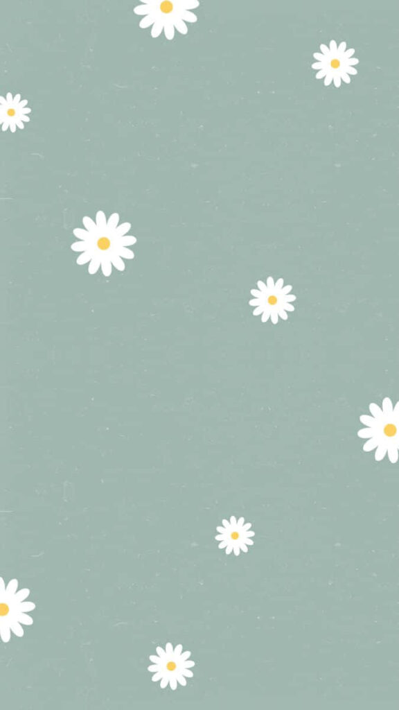 Charming White Daisy Wallpaper on Soft Green Background