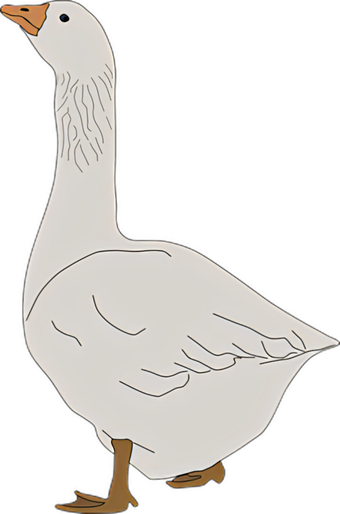 Charming White Goose Illustration in Clean PNG Format Wallpaper