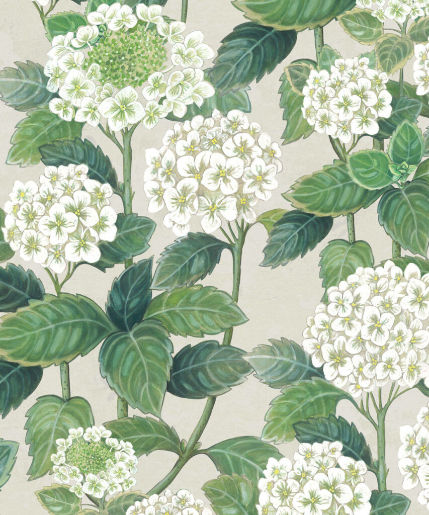 Charming White Hydrangea Floral Wallpaper with Lush Green Leaves