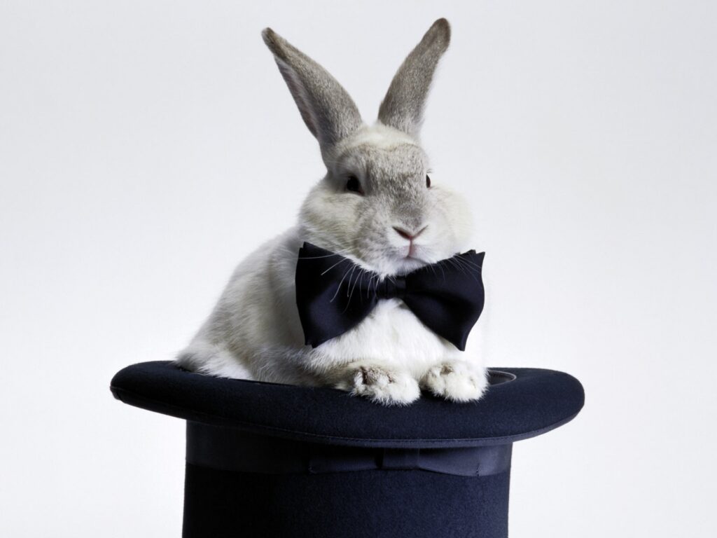 Whimsical White Rabbit on Magician's Hat – Elegant Wallpaper