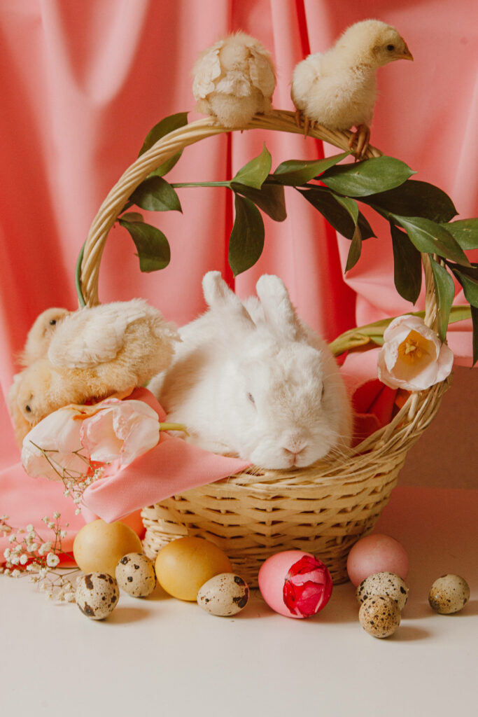 Charming Pastel Pink Wallpaper: Rabbit, Chicks & Floral Basket