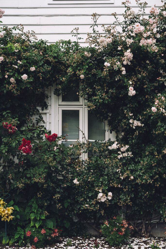 Charming Window Framed by Lush Greenery & Vibrant Blossoms Wallpaper